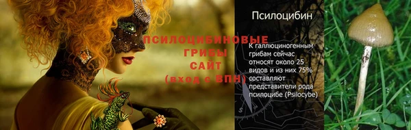 mdpv Вязники