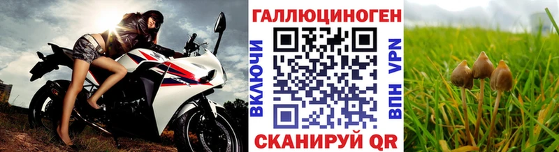 Галлюциногенные грибы прущие грибы  Инза 